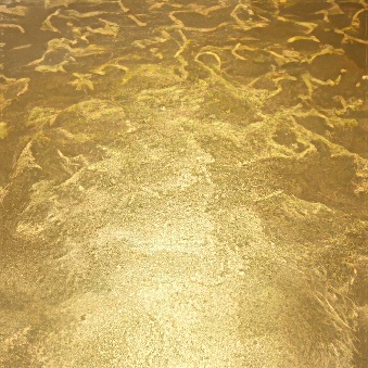 Folia samoprzylepna, liść florencki