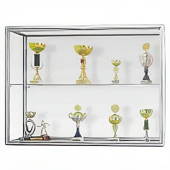 Gablota ekspozycyjna przeszklona wewnętrzna na puchary z jedną półką