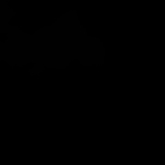 Folia HeatFlex Fast pantone Black 6U