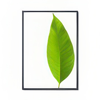 Ramka zatrzaskowa z ostrym narożnikiem